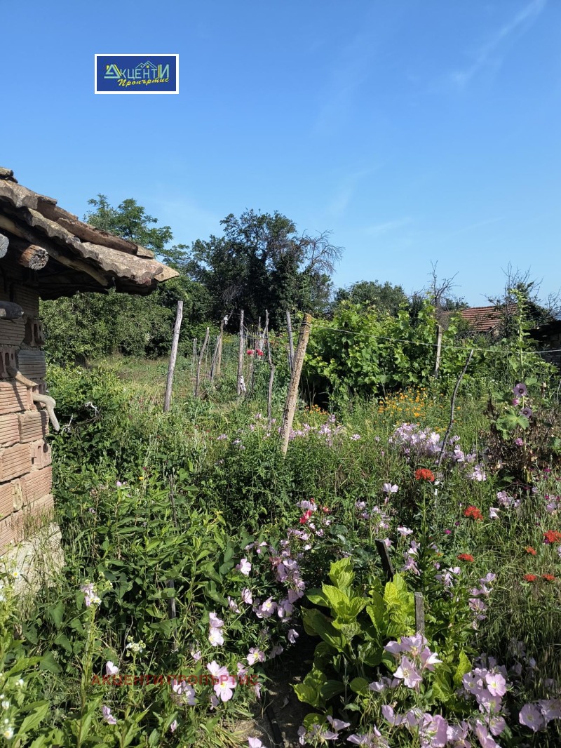 Продава КЪЩА, с. Джулюница, област Велико Търново, снимка 11 - Къщи - 53536426