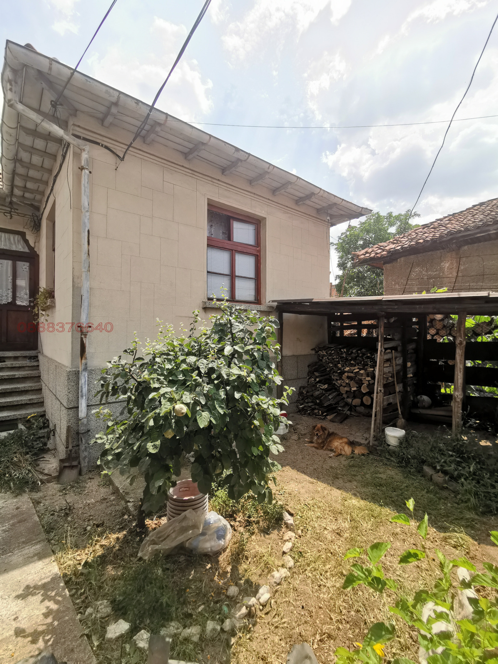 ������� ���� | Imot.bg � ����������� 1