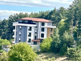 Studie Velingrad, region Pazardzhik 15