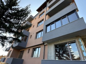 Studie Velingrad, region Pazardzhik 4