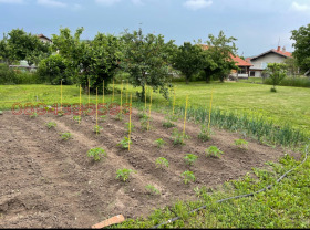 ������� ���� | Imot.bg � ����� ������ 2