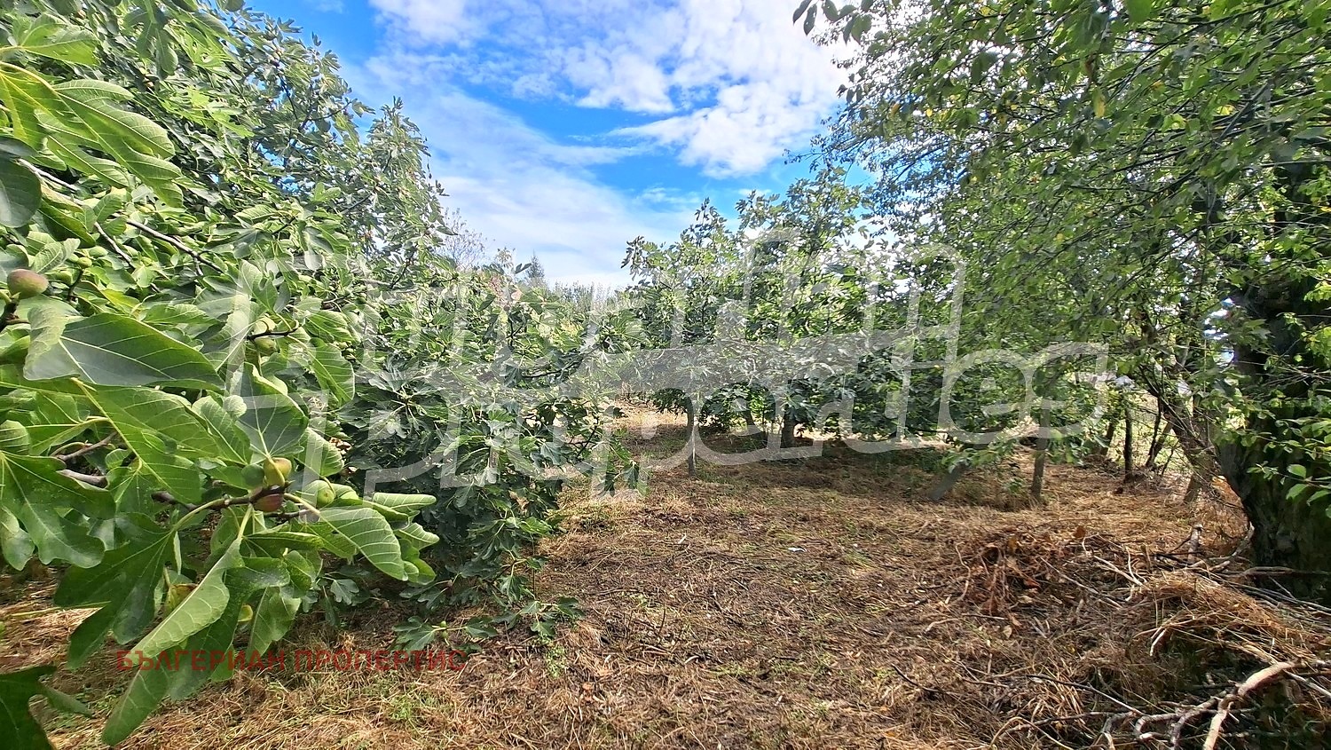 Продава ПАРЦЕЛ, гр. Бяла, област Варна, снимка 3 - Парцели - 56566318
