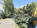 Продава 3-СТАЕН, област Бургас, к.к. Слънчев бряг • 128000 € • 22712454 — Holmes.bg