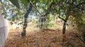 Продава  Парцел област Варна , гр. Бяла , 723 кв.м | 46047541