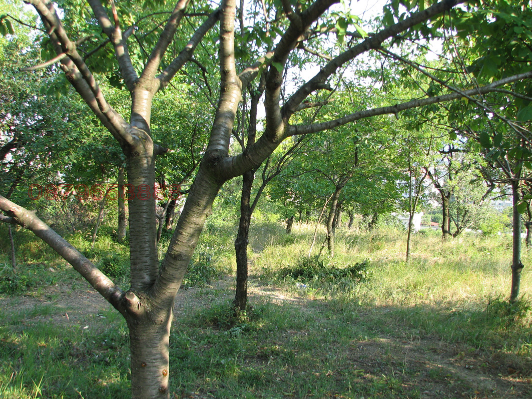 ������� ������ | Imot.bg � ����������� 3