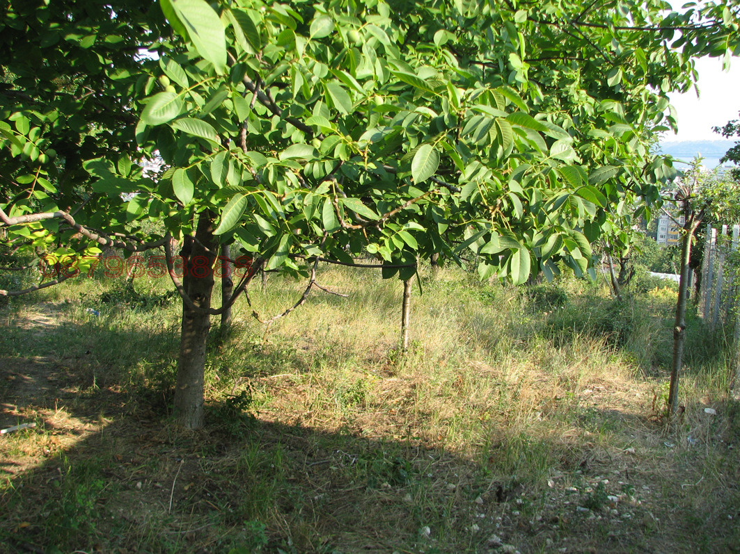 ������� ������ | Imot.bg � ����������� 4