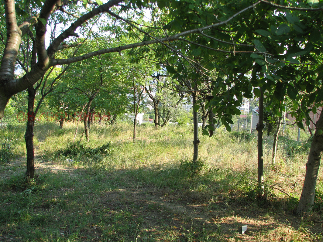 Продава ПАРЦЕЛ, гр. Варна, Изгрев, снимка 2 - Парцели - 53868486