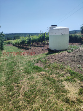������� ���������� ���� | Imot.bg � ����� ������ 2