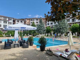 Studio Rogatševo, Dobrichin alue