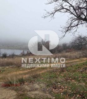 ����� ������� ������,�. ������, ������ �������