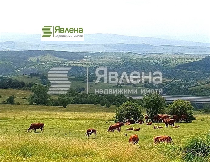 Продава КЪЩА, с. Големо Бучино, област Перник, снимка 7 - Къщи - 49306814