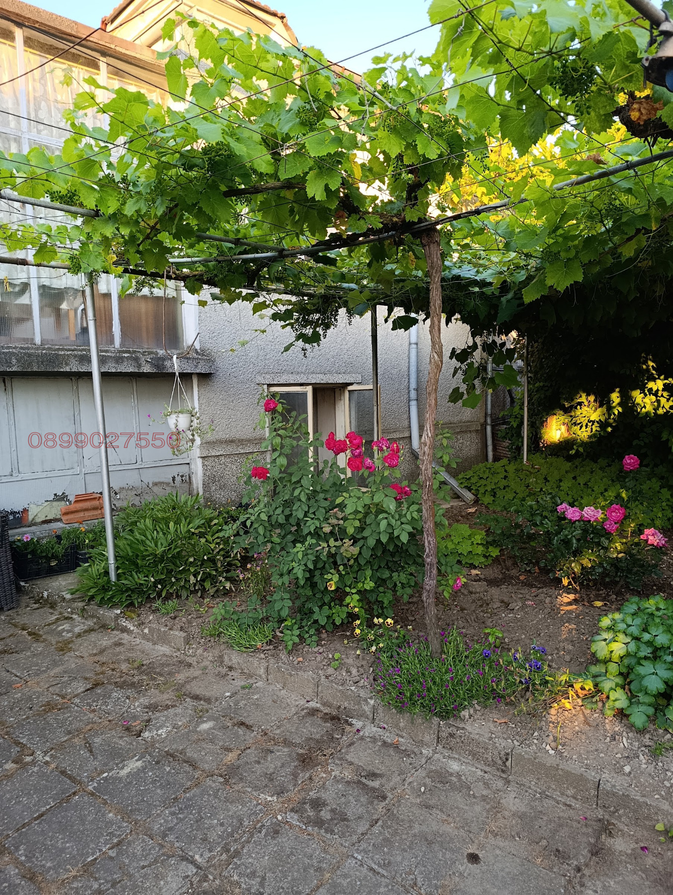 ������� ���� | Imot.bg � ����������� 1