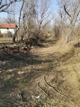 ������� ������ | Imot.bg � ����� ������ 5