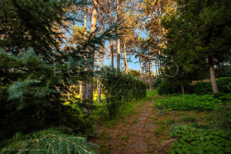 Zu verkaufen  1 Schlafzimmer region Burgas , Sozopol , 67 qm | 55368975 - Bild [10]