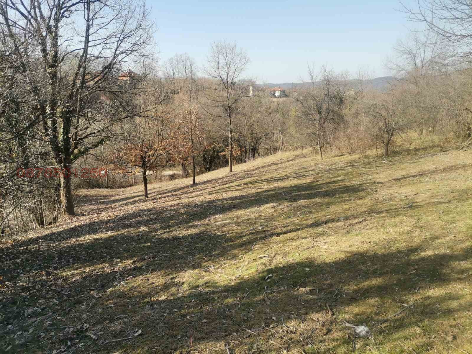 Продава ПАРЦЕЛ, с. Голяма Желязна, област Ловеч, снимка 6 - Парцели - 53843052