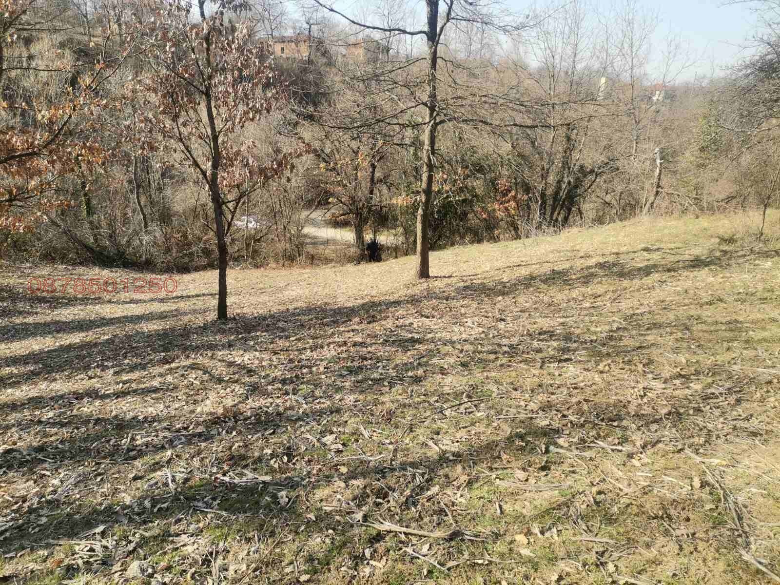 Продава ПАРЦЕЛ, с. Голяма Желязна, област Ловеч, снимка 8 - Парцели - 53843052