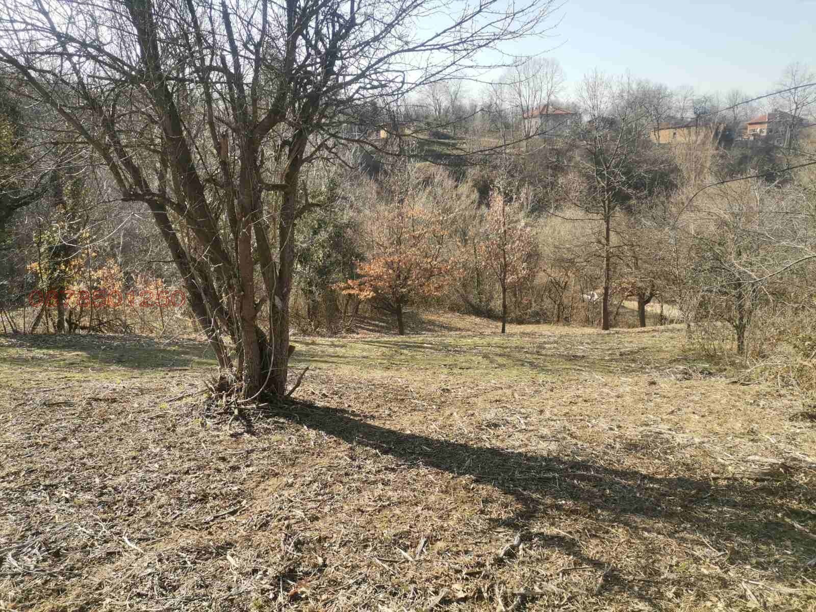 Продава ПАРЦЕЛ, с. Голяма Желязна, област Ловеч, снимка 7 - Парцели - 53843052