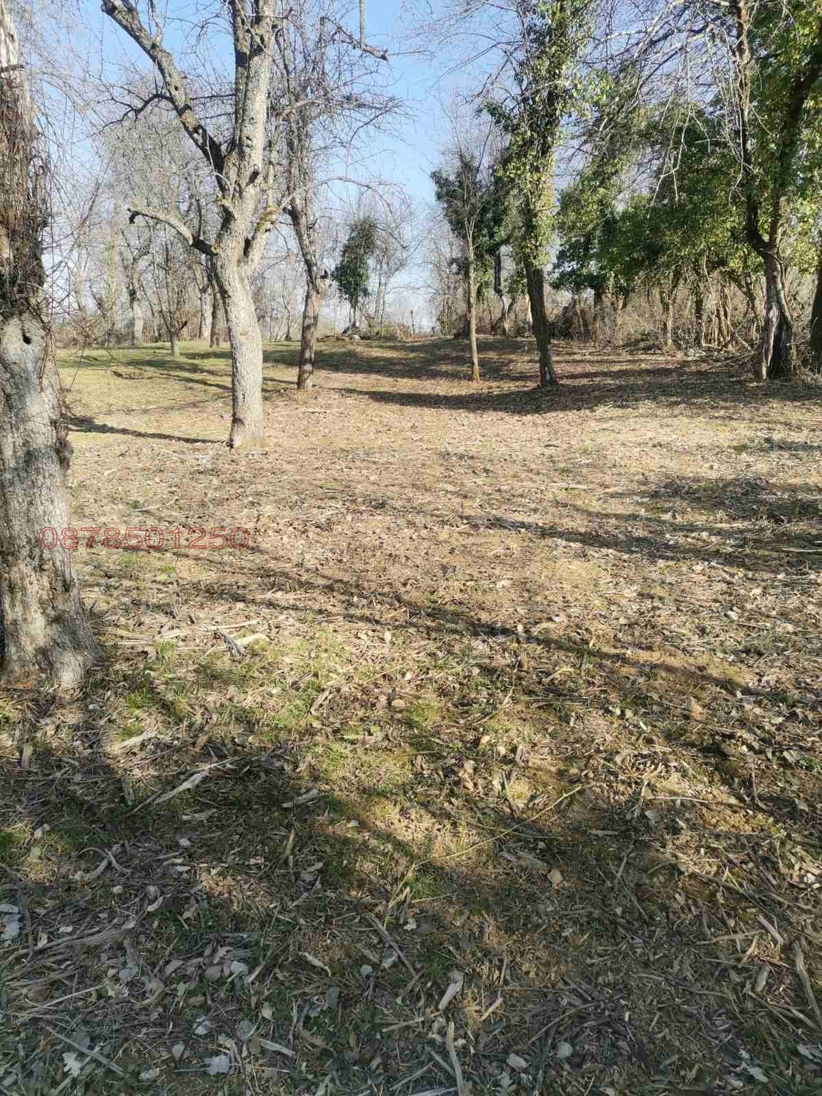 Продава ПАРЦЕЛ, с. Голяма Желязна, област Ловеч, снимка 9 - Парцели - 53843052