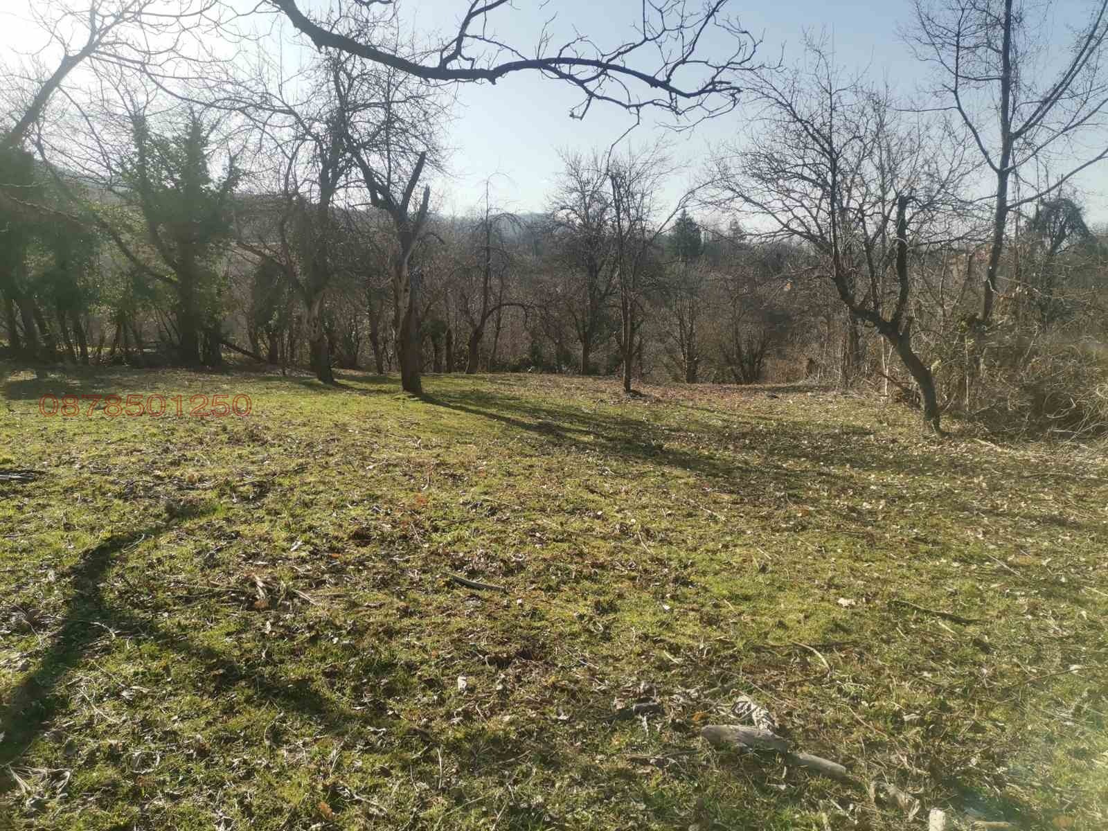 Продава ПАРЦЕЛ, с. Голяма Желязна, област Ловеч