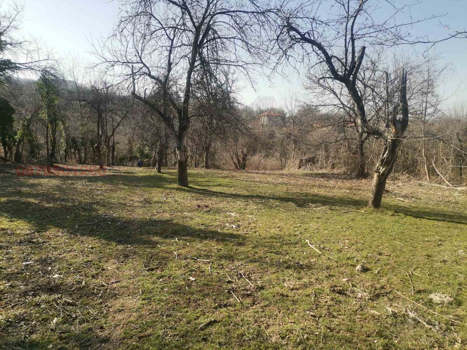 Продава ПАРЦЕЛ, с. Голяма Желязна, област Ловеч, снимка 4 - Парцели - 53843052