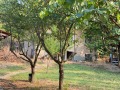 Продава КЪЩА, област Плевен, с. Лозица • 25000 € • 60731681 — Holmes.bg