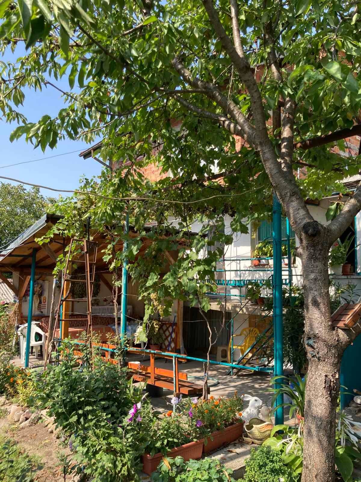 ������� ���� | Imot.bg � ����������� 5