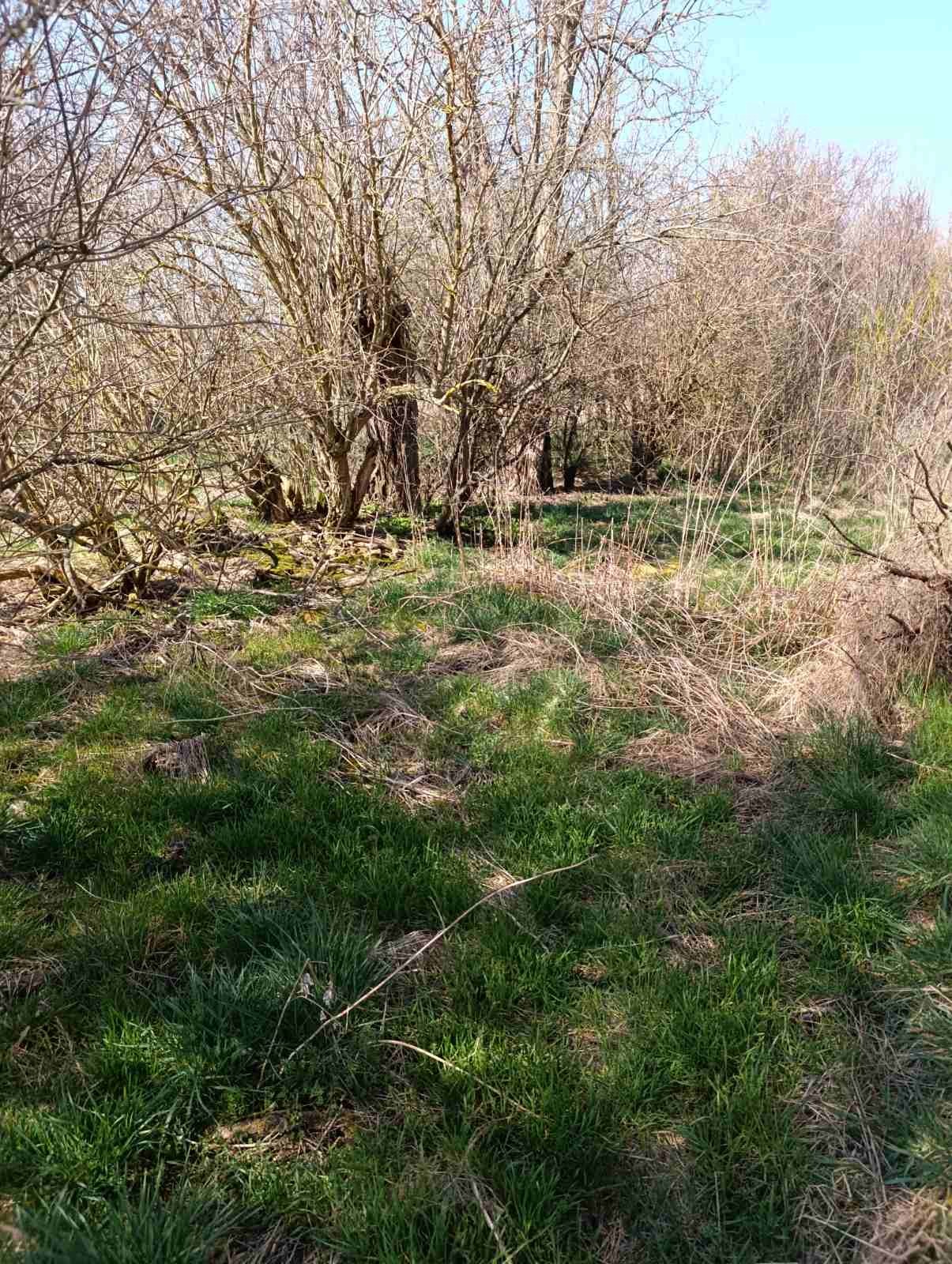 ������� ���� | Imot.bg � ����������� 4