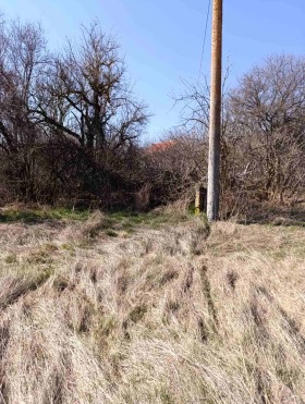 ������� ���� | Imot.bg � ����� ������ 7