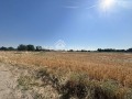Продава ПАРЦЕЛ, област Пловдив, с. Труд • 68000 € • 15259254 1