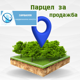 ������ ������� ������