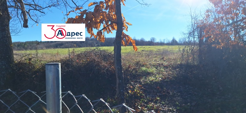 Продава ПАРЦЕЛ, гр. Елена, област Велико Търново, снимка 4 - Парцели - 52735478