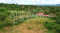 Продава ПАРЦЕЛ, с. Добрина, област Варна, снимка 4