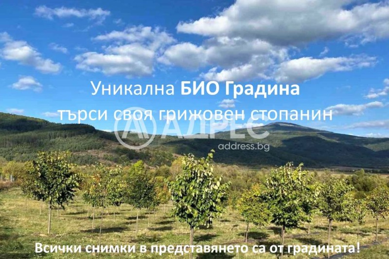 Продава ЗЕМЕДЕЛСКА ЗЕМЯ в област София, с. Горно Камарци - 43 дка / 190 000 € » 371 607.70 лв., АДРЕС НЕДВИЖИМИ ИМОТИ