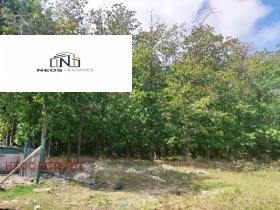 ����� ������� ������,��. ������, ������ ������