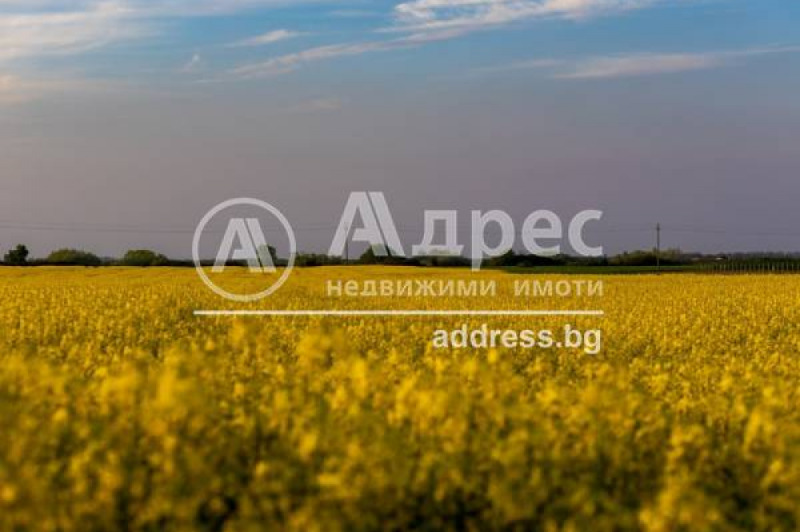 Προς πώληση  Οικόπεδο Σοφηια , Γορνη Βογροβ , 2699 τ.μ | 13124582