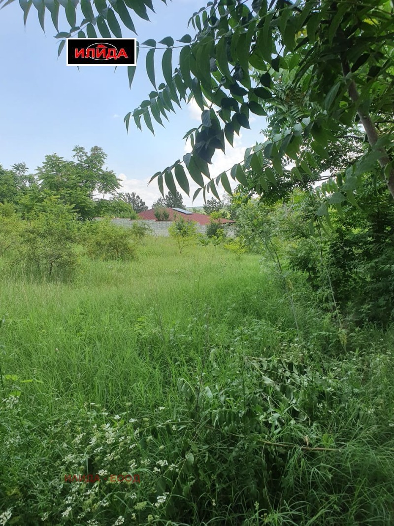 Te koop  Verhaallijn regio Roese , Brasjlen , 1500 m² | 14350130 - afbeelding [2]
