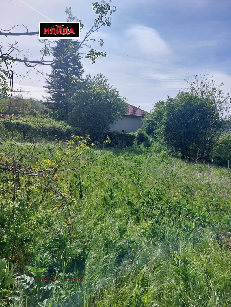 Te koop  Verhaallijn regio Roese , Brasjlen , 1500 m² | 14350130 - afbeelding [3]