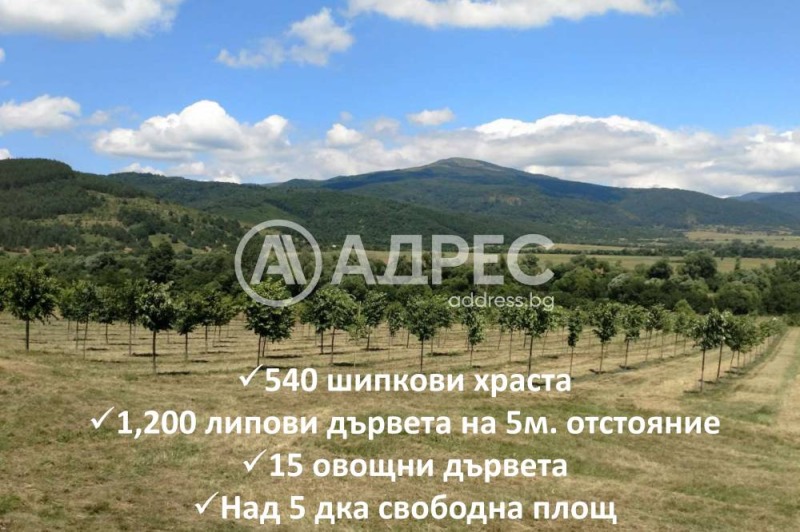 Na prodej  Přistát oblast Sofia , Gorno Kamarci , 43 dka | 18031865 - obraz [4]