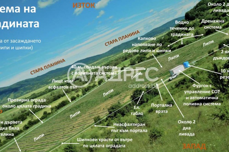 Na prodej  Přistát oblast Sofia , Gorno Kamarci , 43 dka | 18031865 - obraz [5]