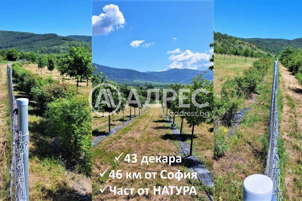 Продава ЗЕМЕДЕЛСКА ЗЕМЯ, с. Горно Камарци, област София област, снимка 2 - Земеделска земя - 50640324