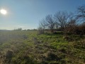 Продава ПАРЦЕЛ, с. Менгишево, област Шумен, снимка 10