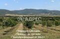 Продава ЗЕМЕДЕЛСКА ЗЕМЯ, с. Горно Камарци, област София област, снимка 2