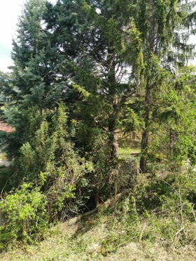 Huis Pantsjarevo, Sofia 12