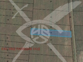 ����� ������� ������,�. ���������, ������ �������