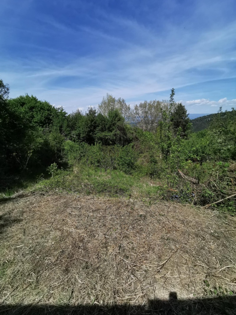 Til salgs  Hus Sofia , Pansjarevo , 120 kvm | 70124582 - bilde [9]