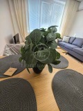 Продава  Многостаен град Пловдив , Христо Смирненски , 125 кв.м | 70318964 - изображение [8]
