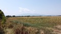 Продава  Парцел град София , Ботунец , 17290 кв.м | 69926994 - изображение [2]