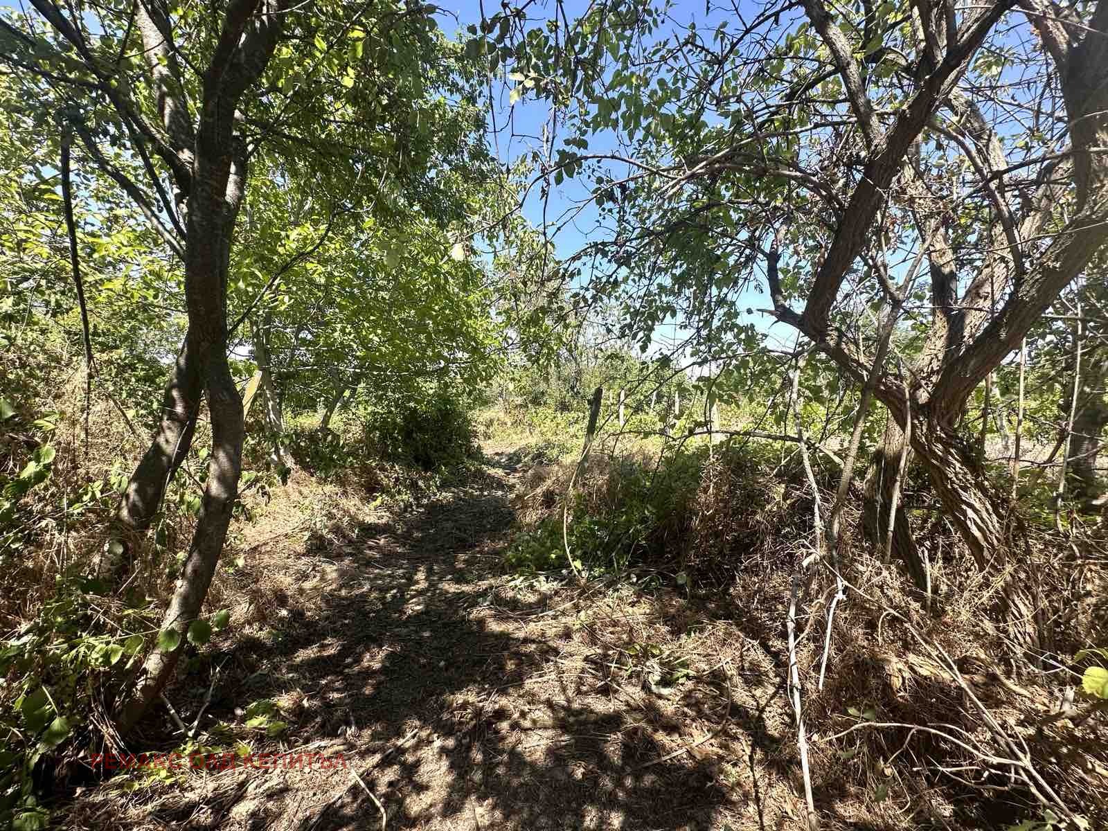 Продава КЪЩА | Imot.bg — изображение 11