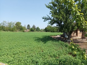 House Polkovnik Dyakovo, region Dobrich 2