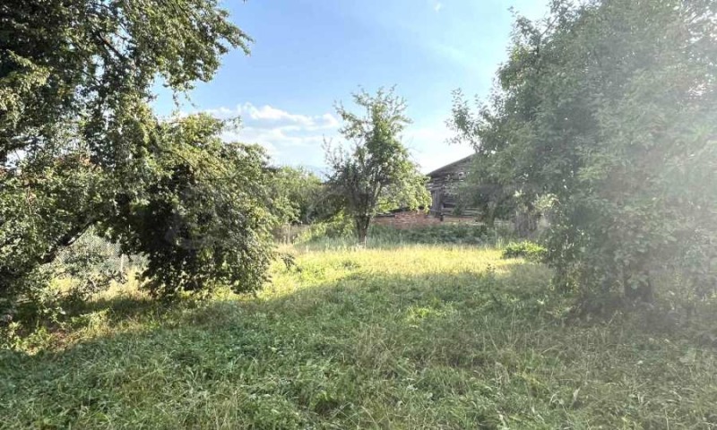 Te koop  Verhaallijn regio Blagoëvgrad , Dolno Draglishte , 750 m² | 26886428 - afbeelding [3]